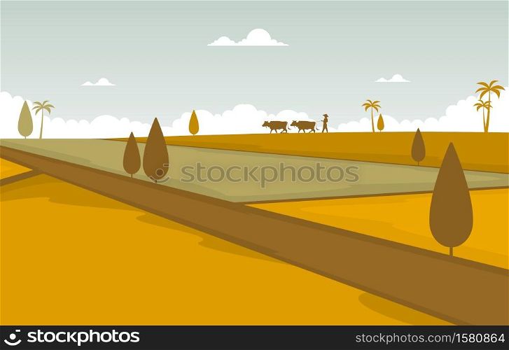 Asian Rice Field Golden Paddy Plantation Ready to Harvest Illustration