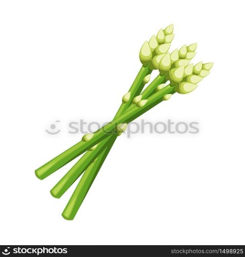 Asparagus Vegetable Natural Healthy Food Flat Vector Illustration