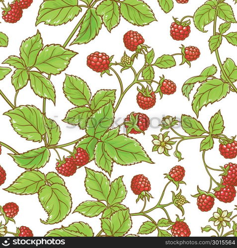 aspberry branch vector pattern. raspberry branch vector pattern on white backgrond