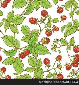 aspberry branch vector pattern. raspberry branch vector pattern on white backgrond