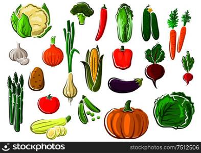 Assorted farm vegetables set with green leaves and haulms, for vegetarian food or agriculture theme. Healthy fresh ripe isolated farm vegetables