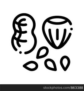 Assortment Healthy Food Nuts Vector Thin Line Icon. Bio Eco Nuts Peanut, Filbert Hazel-nut And Seeds Linear Pictogram. Organic Healthcare Vitamin Delicious Nutrition Monochrome Contour Illustration. Assortment Healthy Food Nuts Vector Thin Line Icon