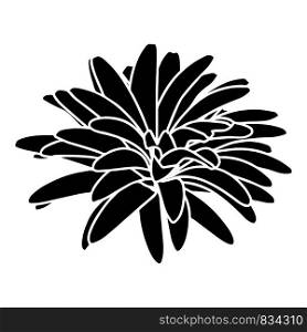 Aster flower icon. Simple illustration of aster flower vector icon for web. Aster flower icon, simple black style