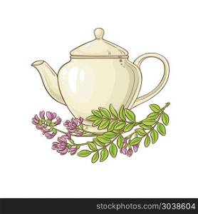 astragalus tea in teapot. astragalus tea vector illustration on white backgrond