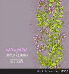 astragalus vector background. astragalus plant vector pattern on color background