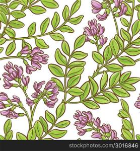 astragalus vector pattern. astragalus plant vector pattern on white background