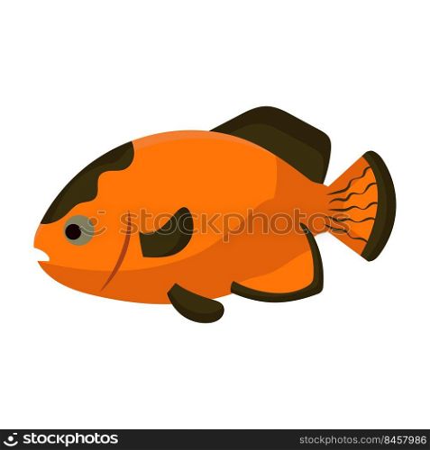 Astronotus fish aquarium water animal nature and vector underwater aquatic art. Tropical illustration fish with tail and fin. Beautiful decorative multicolored pet drawing and ichthyology coral reef