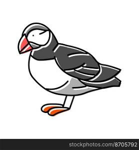 atlantic puffin bird exotic color icon vector. atlantic puffin bird exotic sign. isolated symbol illustration. atlantic puffin bird exotic color icon vector illustration