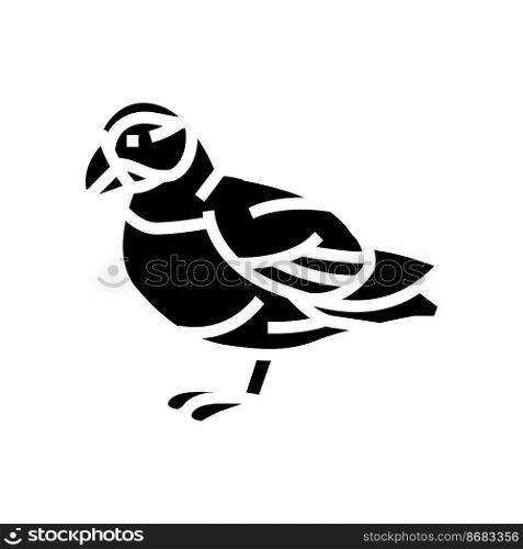 atlantic puffin bird exotic glyph icon vector. atlantic puffin bird exotic sign. isolated symbol illustration. atlantic puffin bird exotic glyph icon vector illustration