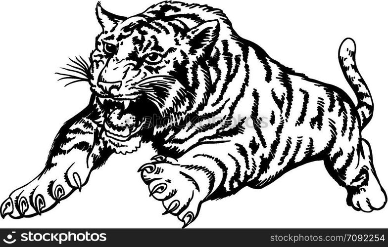 Attack Tiger