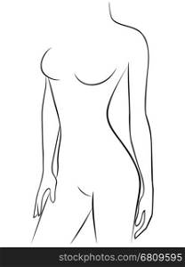 Attractive young graceful female body, vector outline