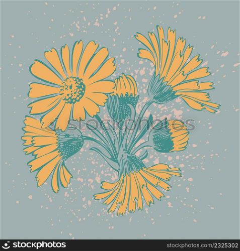 Attractively arranged bunch of flowers. Drawn Chrysanthemum flowers artistic vector illustration. Floral botanical wedding ornament trendy pattern design with watercolor spray. Decorative background