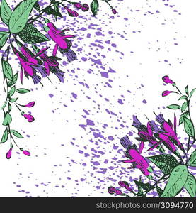 Attractively arranged bunch of flowers on white bacground. Drawn fuchsia flowers, artistic vector illustration. Floral botanical trendy pattern frame, graphic design with watercolor splatter