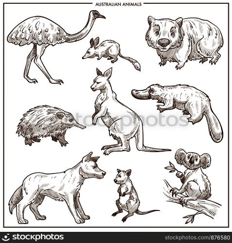 Australian animals and birds sketch. Vector isolated Emu ostrich, kangaroo or Dingo dog and platypus or mouse, koala and echidna and Tasmanian devil for zoo or zoological park design. Australian animals and birds vector sketch