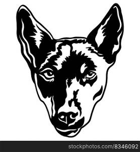 Australian kelpie dog black contour portrait. Dog head front view vector illustration isolated on white background. For decor, design, print, poster, postcard, sticker, t-shirt, cricut and embroidery. Abstract portrait of a kelpie dog black contour illustration
