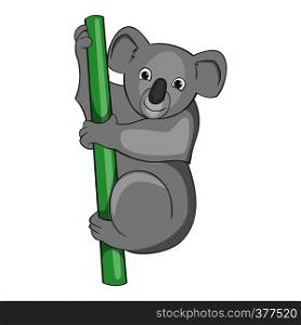 Australian koala bear icon. Cartoon illustration of koala vector icon for web design. Australian koala bear icon, cartoon style