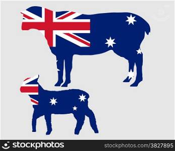Australian sheeps