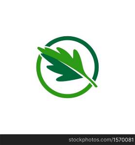 Autum Leaf Logo template vector illustration