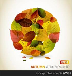 Autumn abstract floral background - circle from colorful leafs with place for your text