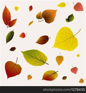Autumn abstract floral background pattern made from colorful leafs