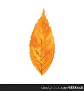Autumn ash-tree leaf. Leaf fall. Vector illustration.