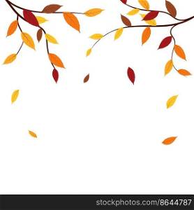 Autumn ash-tree leaves branch. Vector illustration.