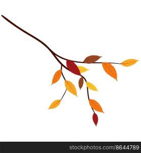 Autumn ash-tree leaves branch. Vector illustration.