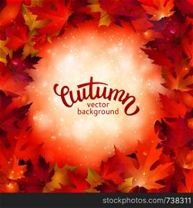 Autumn background design with red leaves, vector illustration