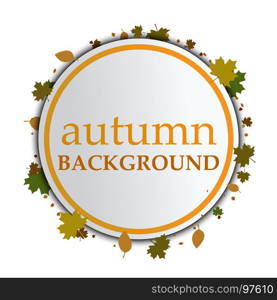 Autumn background on a white background. Autumnal abstract leafy background with place for your text