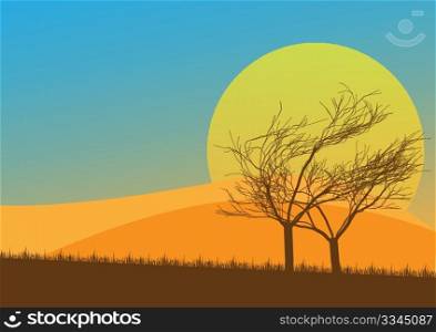 Autumn Background - Sunset over Countryside with Grass and Trees
