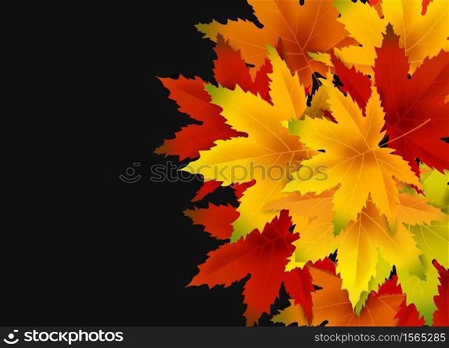 Autumn Background Template, with falling bunch of leaves, shopping sale or seasonal poster. Autumn Background Template, with falling bunch of leaves, shopping sale or seasonal poster for shopping discount promotion, Postcard and Invitation card. Vector illustration Voucher, Banner, Flyer, Promotional Poster