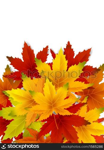 Autumn Background Template, with falling bunch of leaves, shopping sale or seasonal poster. Autumn Background Template, with falling bunch of leaves, shopping sale or seasonal poster for shopping discount promotion, Postcard and Invitation card. Vector illustration Voucher, Banner, Flyer, Promotional Poster