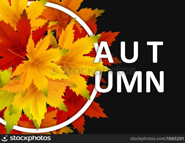 Autumn Background Template, with falling bunch of leaves, shopping sale or seasonal poster. Autumn Background Template, with falling bunch of leaves, shopping sale or seasonal poster for shopping discount promotion, Postcard and Invitation card. Vector illustration Voucher, Banner, Flyer, Promotional Poster