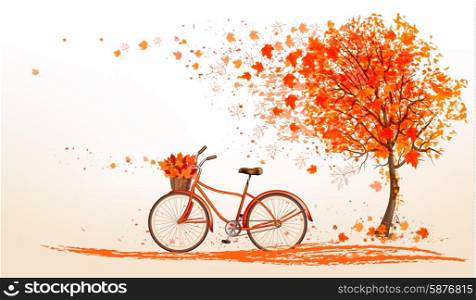 Autumn background with a tree and a bicycle. Vector.