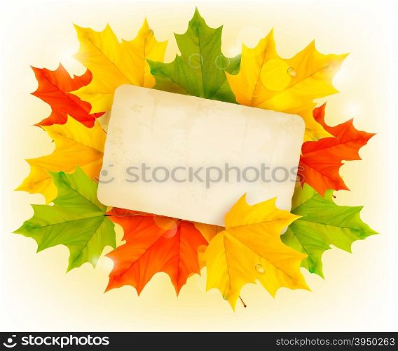 Autumn background with color leaves and card. Back to school. Vector illustration.