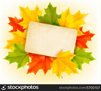 Autumn background with color leaves and card. Back to school. Vector illustration.
