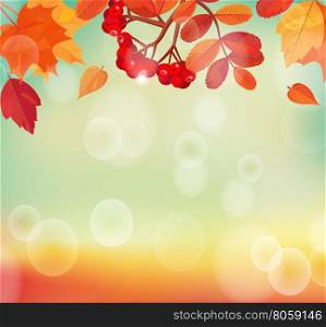 Autumn background with colorful leaves and rowan. EPS 10 vector illustration.. Autumn background with colorful leaves and rowan.