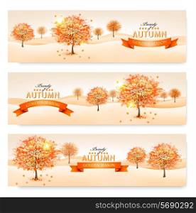Autumn background with colorful leaves and trees.Vector illustration.