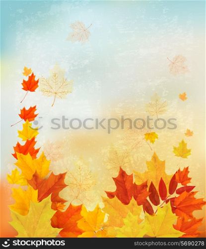 Autumn background with colorful leaves. Back to school Vector illustration