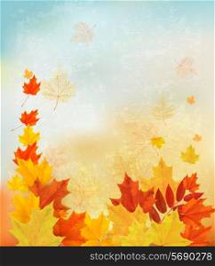 Autumn background with colorful leaves. Back to school Vector illustration