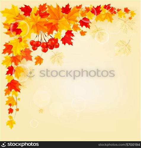 Autumn background with colorful leaves. Back to school. Vector illustration.