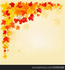 Autumn background with colorful leaves. Back to school. Vector illustration.