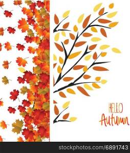 Autumn background with colorful leaves. Thanksgiving Design