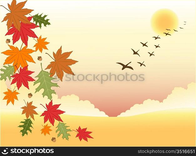 autumn background with falling leaves and flying birds