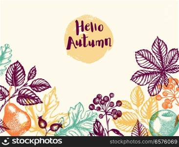 Autumn background with falling leaves, fruits and berries. Vintage vector hand drawn autumn floral banner for seasonal sale.
