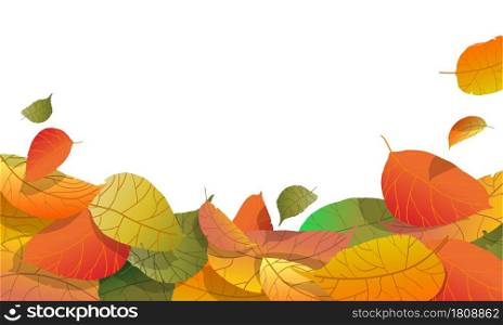 Autumn background with gradient tree leaves on white background. Autumn fallen tree leaves. Harvesting. Vector