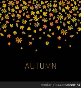 Autumn background with leaf fall. Autumn black background with yellow leaf fall.