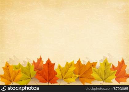 Autumn background with leaves and old paper. Vector illustration