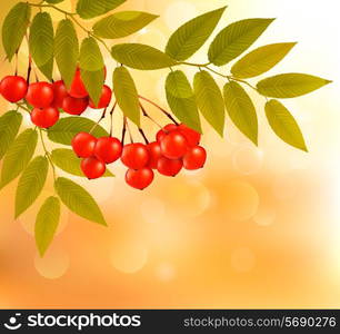 Autumn background with leaves and rowan. Back to school. Vector illustration.