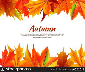 Autumn background with leaves at top and bottom of vector illustration and place for text on white backdrop maple leaf foliage in fall season concept. Autumn Background with Leaves at Top and Bottom